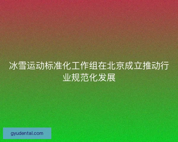 冰雪运动标准化工作组在北京成立推动行业规范化发展